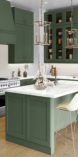 A kitchen with Elegant cabinets in Evergreen