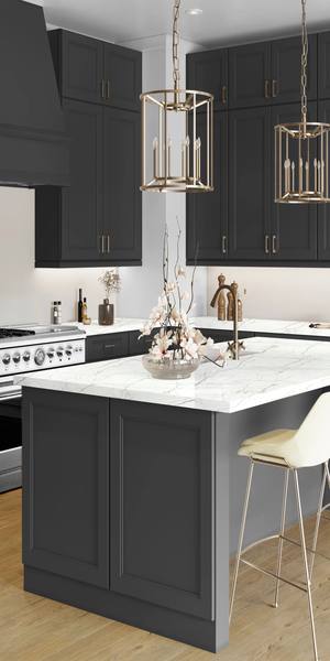 A kitchen with Fashion cabinets in Cracked Pepper