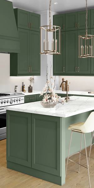 A kitchen with Fashion cabinets in Evergreen