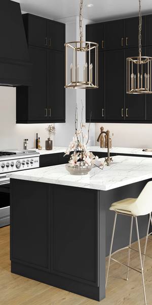 A kitchen with Newport cabinets in Black
