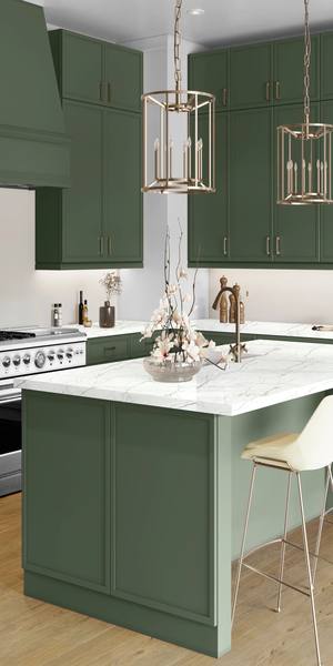 A kitchen with Newport cabinets in Evergreen