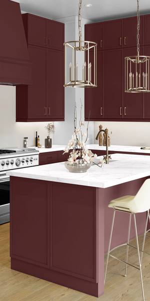 A kitchen with Newport cabinets in Rumors