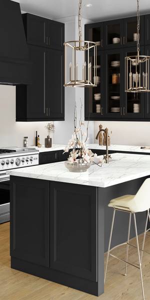 A kitchen with Sydney cabinets in Black