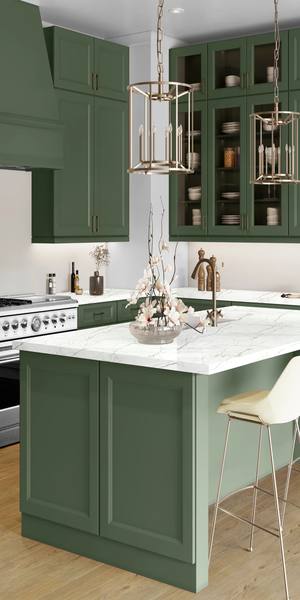 A kitchen with Sydney cabinets in Evergreen